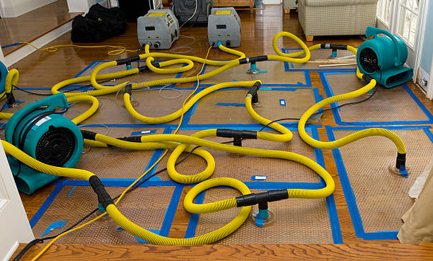 Professional Water Damage Restoration technician working in Alton, IA